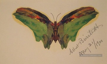 Papillon Luminisme Albert Bierstadt Peinture à l'huile